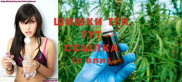 дмт Аркадак