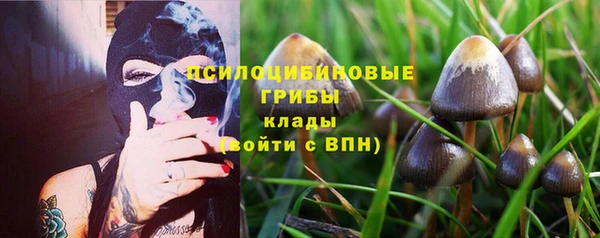мдпв Арсеньев