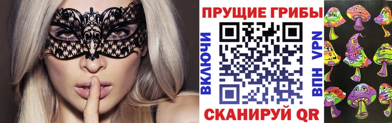 Галлюциногенные грибы Psilocybine cubensis  Арск 